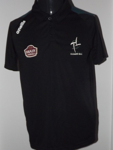 2016 kildare gaa polo - kildare,