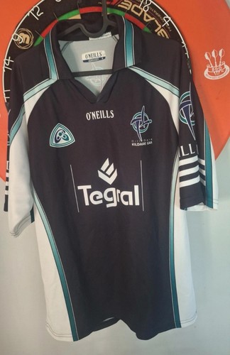 Kildare 2004 gaa goalkeeper - 2004/06,