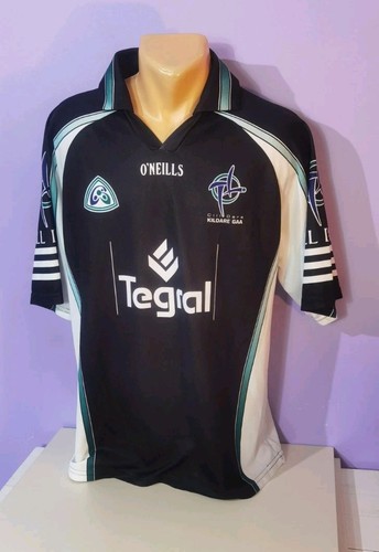 Kildare 2004 gaa - kildare, goalkeeper