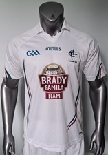 Kildare 2013/14 Gaa Jersey